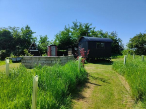Stompy's Hut
